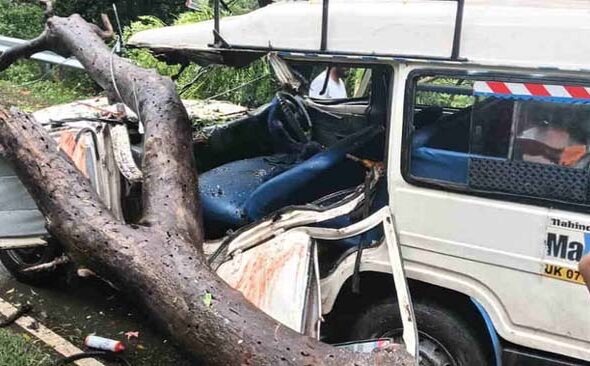 सड़क हादसा: चलती मैक्स पर गिरा पेड़, कई यात्री घायल