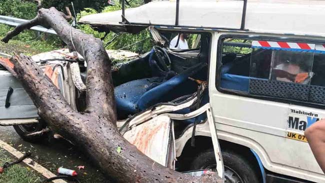 सड़क हादसा: चलती मैक्स पर गिरा पेड़, कई यात्री घायल