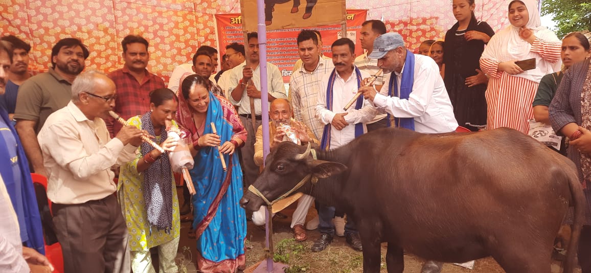 मालिकाना हक के लिए भैंस के आगे बजाई बीन , फिर भी नहीं जागी सरकार